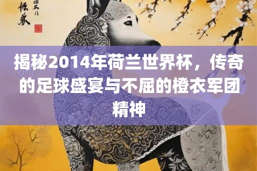 揭秘2014年荷兰世界杯，传奇的足球盛宴与不屈的橙衣军团精神
