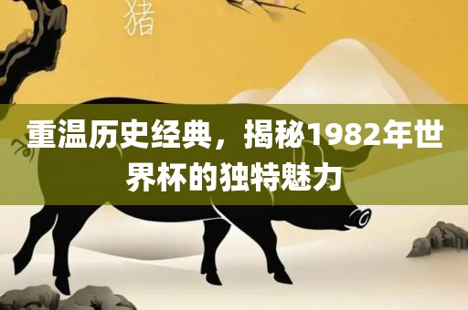 重温历史经典，揭秘1982年世界杯的独特魅力