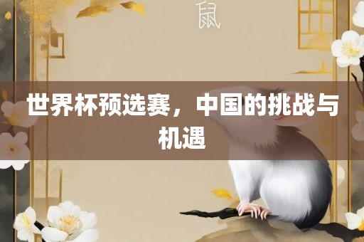 世界杯预选赛，中国的挑战与机遇