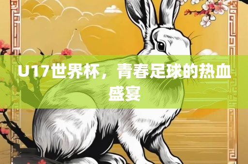 U17世界杯，青春足球的热血盛宴