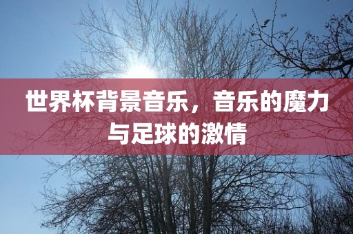 世界杯背景音乐，音乐的魔力与足球的激情