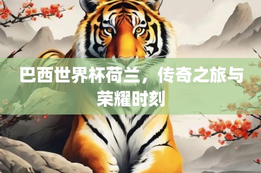 巴西世界杯荷兰，传奇之旅与荣耀时刻