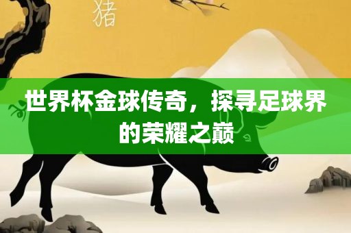 世界杯金球传奇，探寻足球界的荣耀之巅