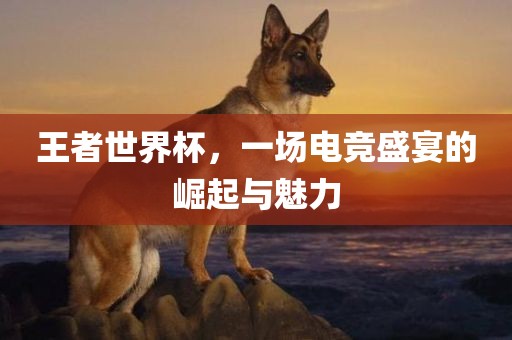 王者世界杯，一场电竞盛宴的崛起与魅力