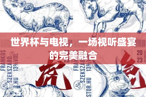 世界杯与电视，一场视听盛宴的完美融合