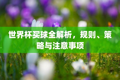 世界杯买球全解析，规则、策略与注意事项
