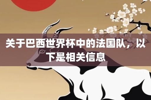 关于巴西世界杯中的法国队，以下是相关信息