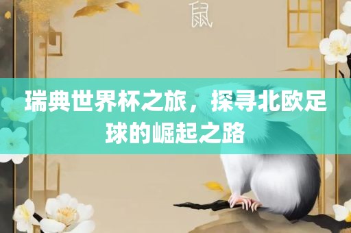 瑞典世界杯之旅，探寻北欧足球的崛起之路