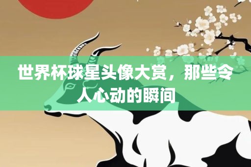 世界杯球星头像大赏，那些令人心动的瞬间