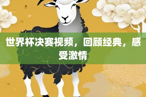 世界杯决赛视频，回顾经典，感受激情