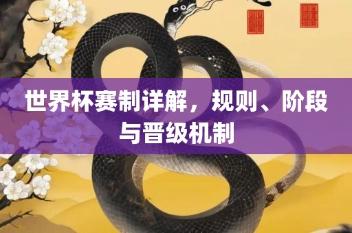 世界杯赛制详解，规则、阶段与晋级机制