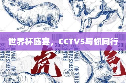 世界杯盛宴，CCTV5与你同行