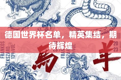 德国世界杯名单，精英集结，期待辉煌