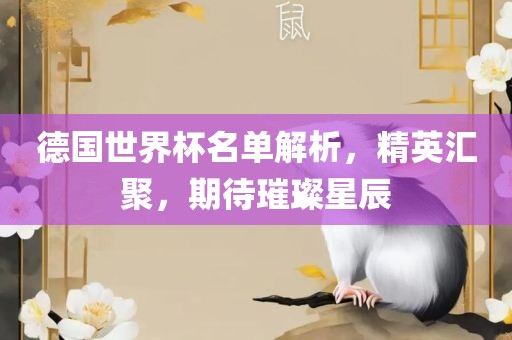 德国世界杯名单解析，精英汇聚，期待璀璨星辰