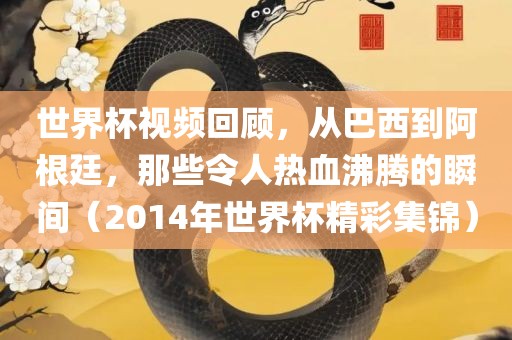 世界杯视频回顾，从巴西到阿根廷，那些令人热血沸腾的瞬间（2014年世界杯精彩集锦）