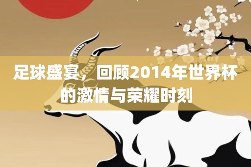 足球盛宴，回顾2014年世界杯的激情与荣耀时刻