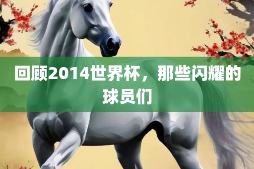 回顾2014世界杯，那些闪耀的球员们