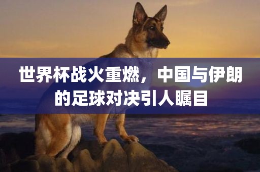 世界杯战火重燃，中国与伊朗的足球对决引人瞩目