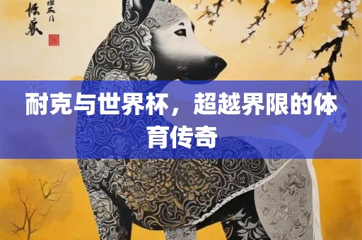 耐克与世界杯，超越界限的体育传奇