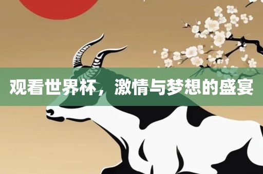观看世界杯，激情与梦想的盛宴