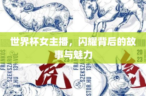世界杯女主播，闪耀背后的故事与魅力