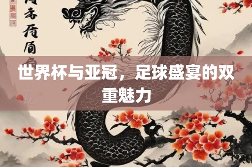 世界杯与亚冠，足球盛宴的双重魅力