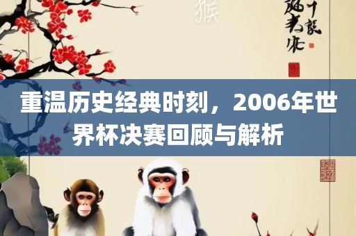 重温历史经典时刻，2006年世界杯决赛回顾与解析