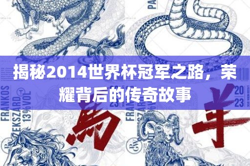揭秘2014世界杯冠军之路，荣耀背后的传奇故事