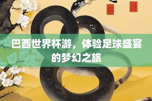 巴西世界杯游，体验足球盛宴的梦幻之旅