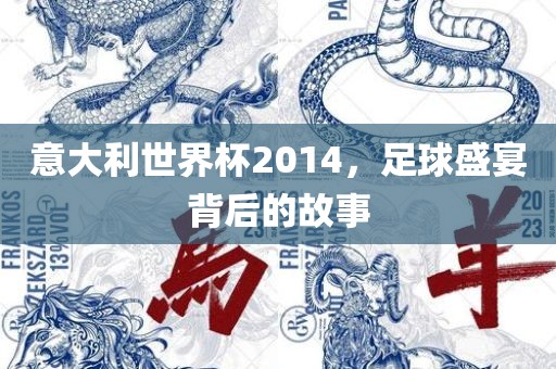 意大利世界杯2014，足球盛宴背后的故事