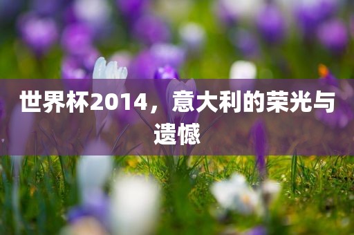 世界杯2014，意大利的荣光与遗憾