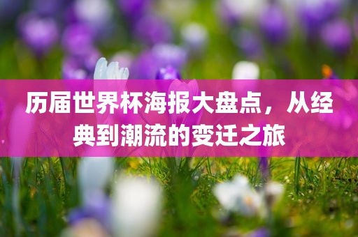 历届世界杯海报大盘点，从经典到潮流的变迁之旅