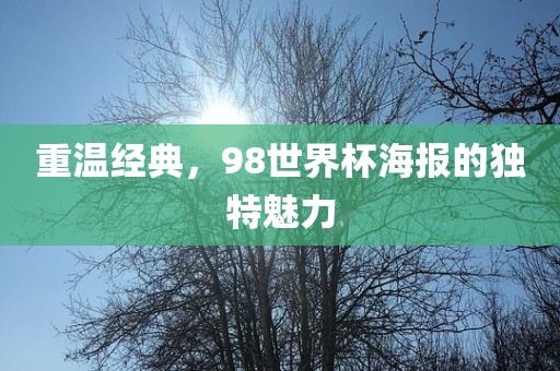 重温经典，98世界杯海报的独特魅力