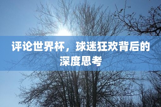 评论世界杯，球迷狂欢背后的深度思考