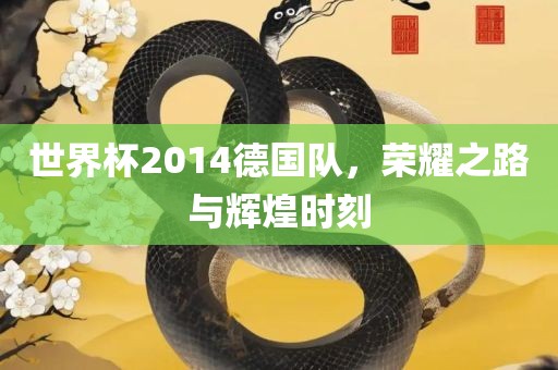 世界杯2014德国队，荣耀之路与辉煌时刻