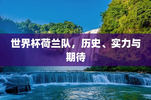 世界杯荷兰队，历史、实力与期待