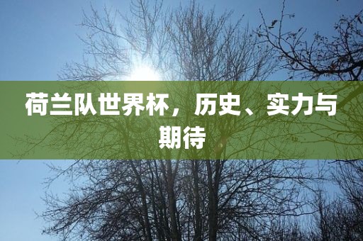 荷兰队世界杯，历史、实力与期待