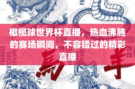 橄榄球世界杯直播，热血沸腾的赛场瞬间，不容错过的精彩直播