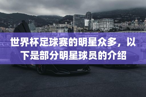 世界杯足球赛的明星众多，以下是部分明星球员的介绍