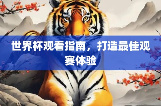 世界杯观看指南，打造最佳观赛体验