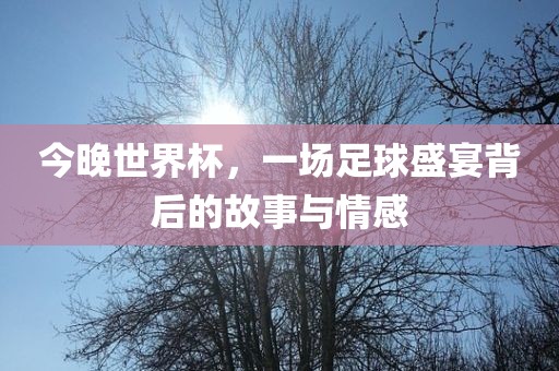 今晚世界杯，一场足球盛宴背后的故事与情感