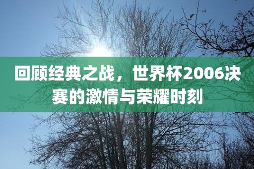 回顾经典之战，世界杯2006决赛的激情与荣耀时刻