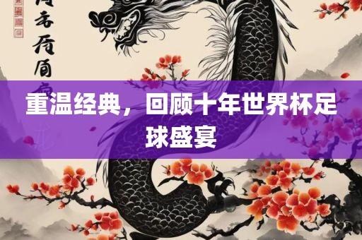 重温经典，回顾十年世界杯足球盛宴