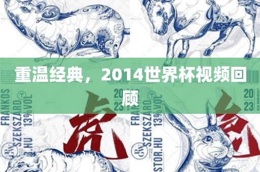 重温经典，2014世界杯视频回顾