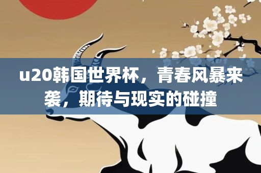 u20韩国世界杯，青春风暴来袭，期待与现实的碰撞