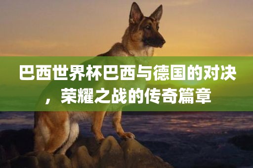 巴西世界杯巴西与德国的对决，荣耀之战的传奇篇章