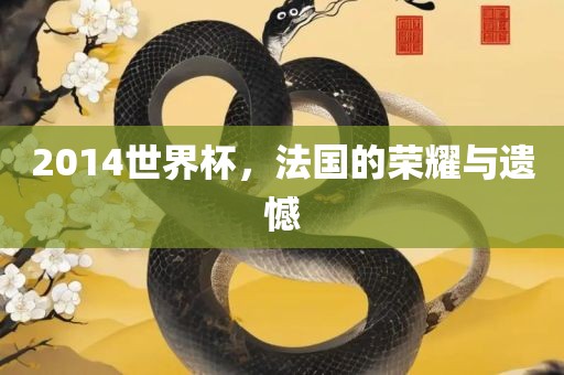 2014世界杯，法国的荣耀与遗憾