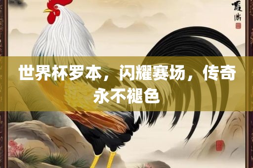 世界杯罗本，闪耀赛场，传奇永不褪色