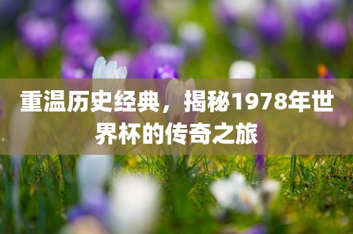 重温历史经典，揭秘1978年世界杯的传奇之旅