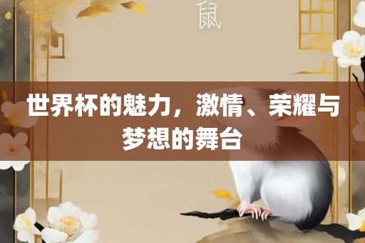世界杯的魅力，激情、荣耀与梦想的舞台